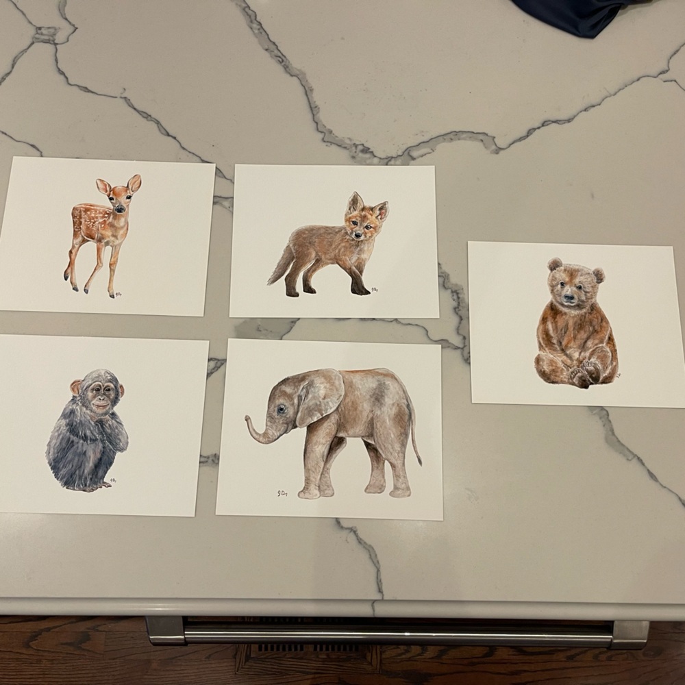 Animal prints 8x10